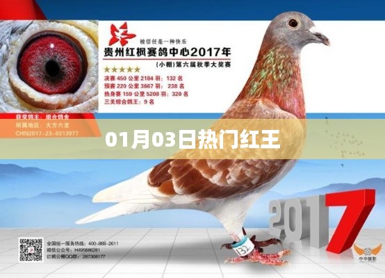 热门红王，01月03日最新动态揭秘