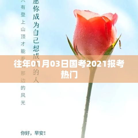 国考报名趋势，揭秘热门职位报考情况