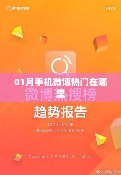 01月手机微博热点一览