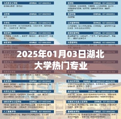 湖北大学热门专业排行榜（2025年1月）
