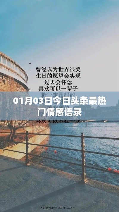 情感语录精选，今日热门情感话题分享