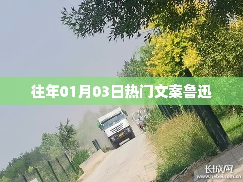 司空见惯 第3页