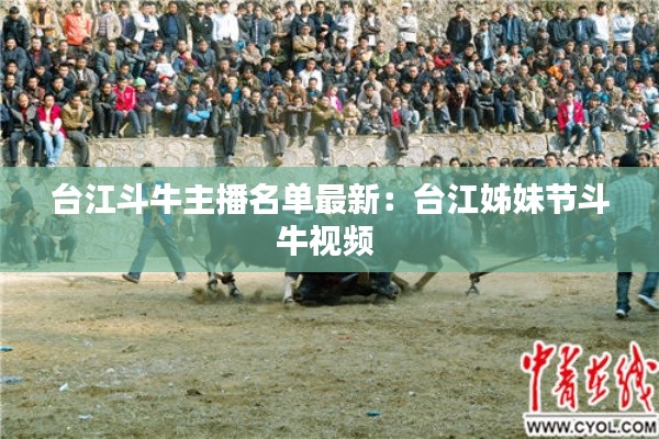 台江斗牛主播名单最新：台江姊妹节斗牛视频 