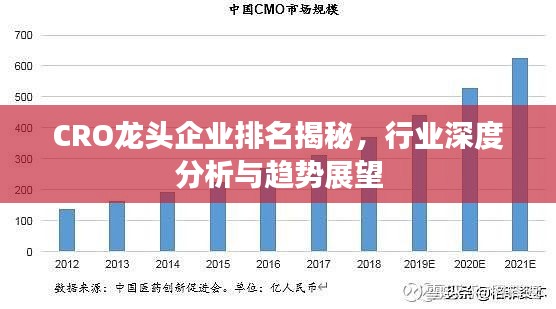 CRO龙头企业排名揭秘，行业深度分析与趋势展望