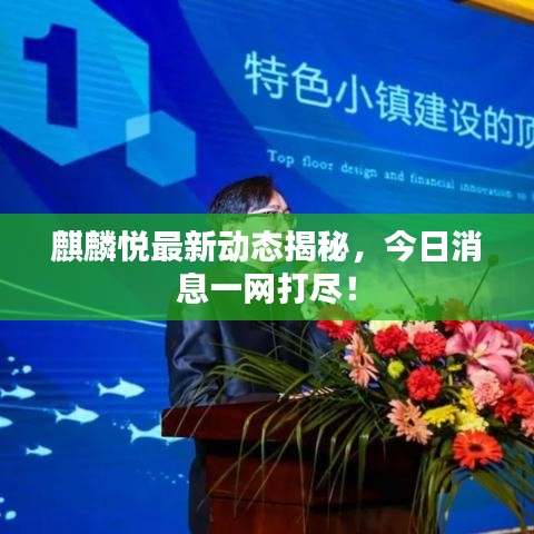 麒麟悦最新动态揭秘，今日消息一网打尽！
