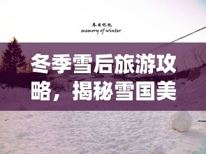 冬季雪后旅游攻略，揭秘雪国美景与乐趣探索