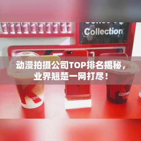 动漫拍摄公司TOP排名揭秘，业界翘楚一网打尽！