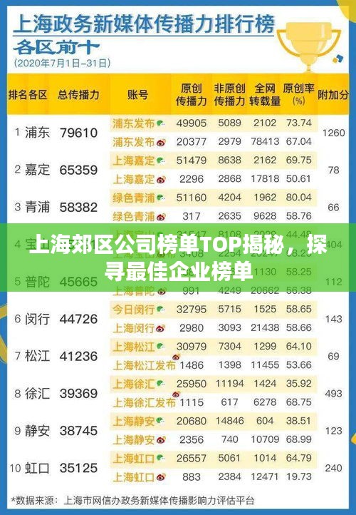 上海郊区公司榜单TOP揭秘，探寻最佳企业榜单