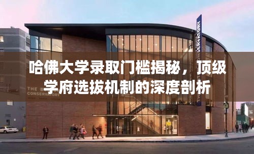 哈佛大学录取门槛揭秘，顶级学府选拔机制的深度剖析