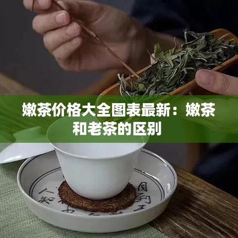 嫩茶价格大全图表最新：嫩茶和老茶的区别 