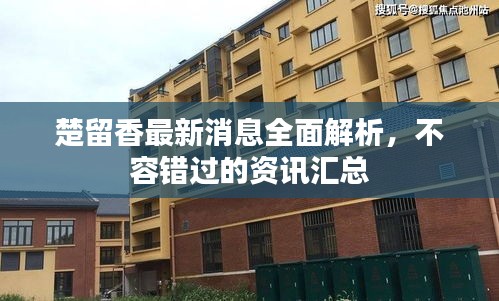 楚留香最新消息全面解析，不容错过的资讯汇总