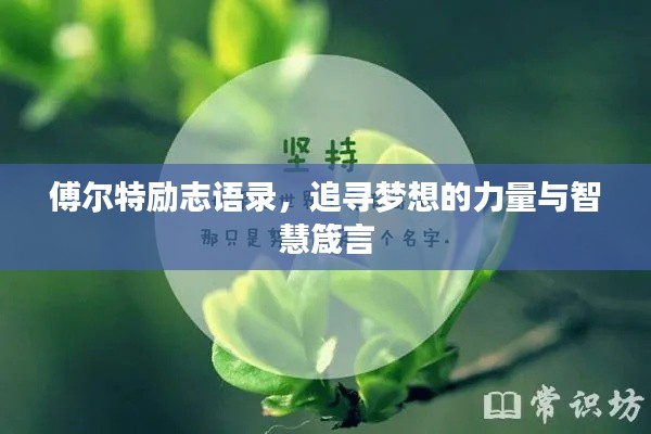 傅尔特励志语录，追寻梦想的力量与智慧箴言