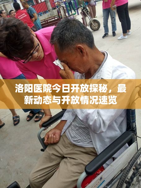 洛阳医院今日开放探秘，最新动态与开放情况速览