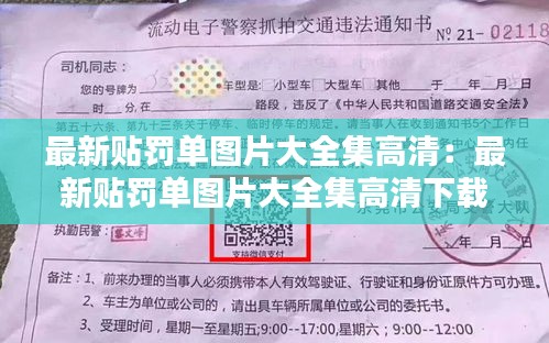 最新贴罚单图片大全集高清：最新贴罚单图片大全集高清下载 