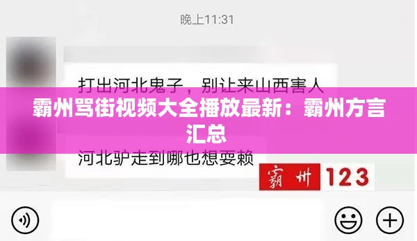 霸州骂街视频大全播放最新：霸州方言汇总 