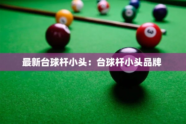 最新台球杆小头：台球杆小头品牌 