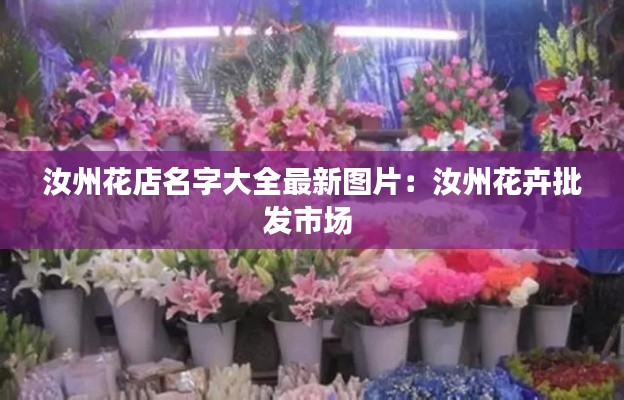 汝州花店名字大全最新图片：汝州花卉批发市场 