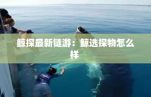 鲸探最新链游：鲸选探物怎么样 