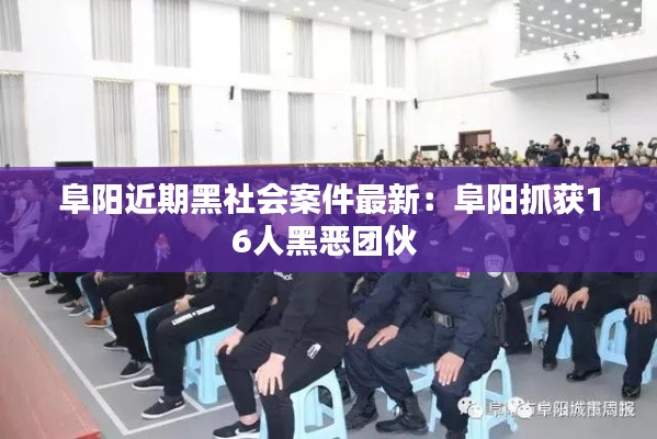 阜阳近期黑社会案件最新：阜阳抓获16人黑恶团伙 