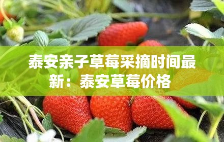 鸟声兽心 第2页