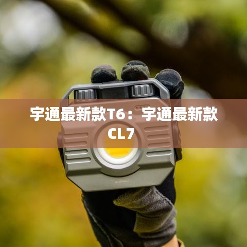栖冲业简 第2页