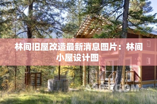 林间旧屋改造最新消息图片：林间小屋设计图 