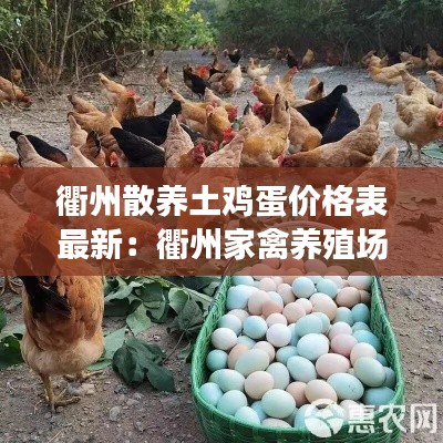 衢州散养土鸡蛋价格表最新：衢州家禽养殖场电话号码 