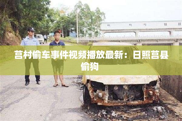 莒村偷车事件视频播放最新：日照莒县偷狗 
