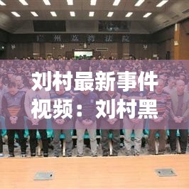 刘村最新事件视频：刘村黑恶势力宣判 