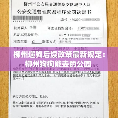 柳州遛狗后续政策最新规定：柳州狗狗能去的公园 