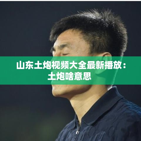 山东土炮视频大全最新播放：土炮啥意思 