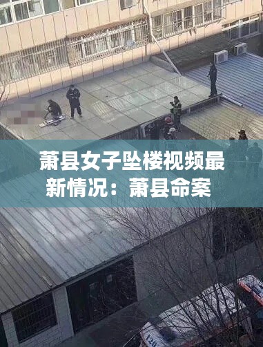 常见问题 第90页