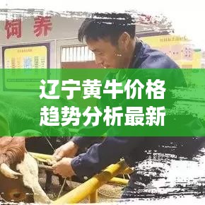 劳燕分飞 第3页