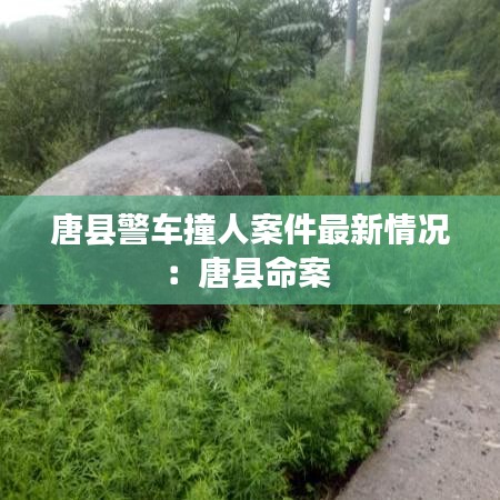 唐县警车撞人案件最新情况：唐县命案 
