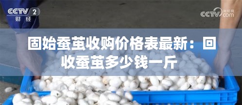固始蚕茧收购价格表最新：回收蚕茧多少钱一斤 