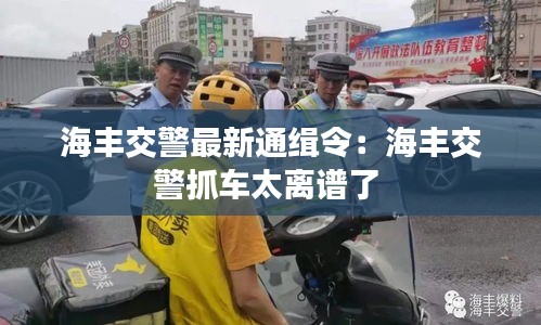 海丰交警最新通缉令：海丰交警抓车太离谱了 