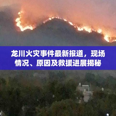 龙川火灾事件最新报道，现场情况、原因及救援进展揭秘