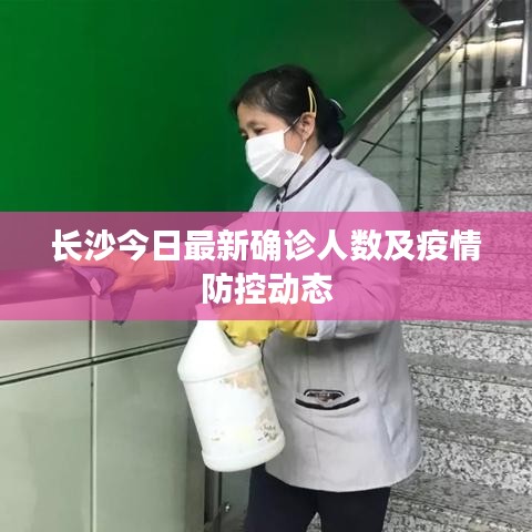长沙今日最新确诊人数及疫情防控动态