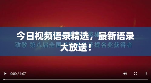 今日视频语录精选，最新语录大放送！