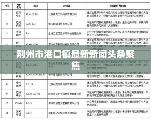 荆州市港口镇最新新闻头条聚焦