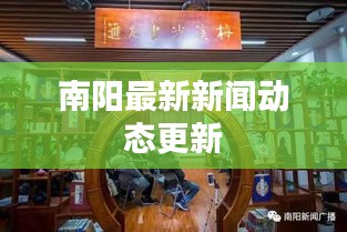 南阳最新新闻动态更新