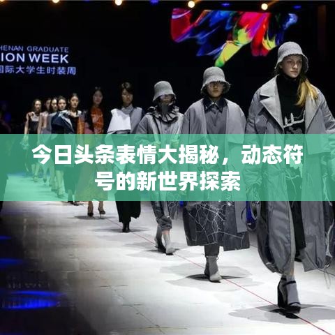 今日头条表情大揭秘，动态符号的新世界探索