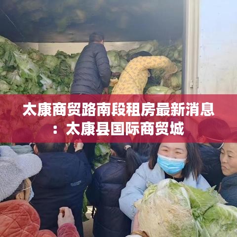 太康商贸路南段租房最新消息：太康县国际商贸城 