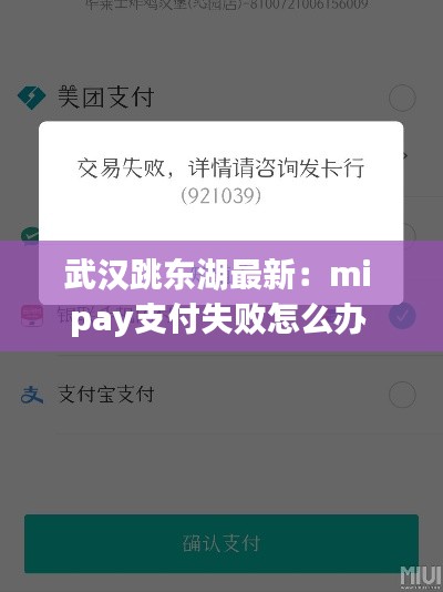 武汉跳东湖最新：mi pay支付失败怎么办 