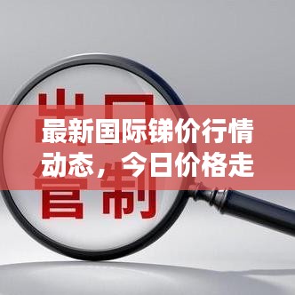 最新国际锑价行情动态，今日价格走势分析