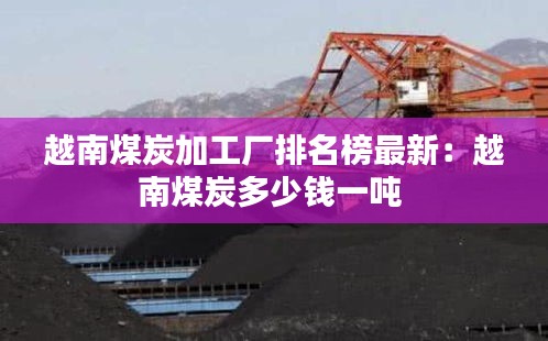 越南煤炭加工厂排名榜最新：越南煤炭多少钱一吨 