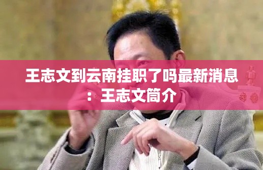 王志文到云南挂职了吗最新消息：王志文筒介 