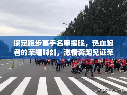 保定跑步高手名单揭晓，热血跑者的荣耀时刻，激情奔跑见证荣耀风采
