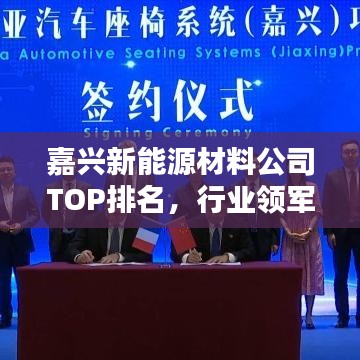 嘉兴新能源材料公司TOP排名，行业领军者一览无遗！