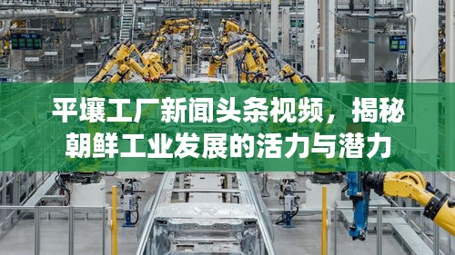 平壤工厂新闻头条视频，揭秘朝鲜工业发展的活力与潜力